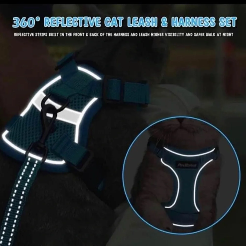 Cat Harness And leash Set